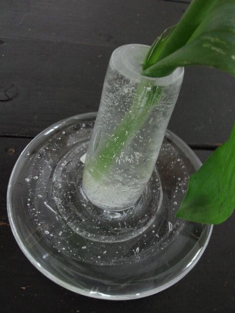 f0045630_2362696.jpg