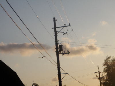 a0054240_20561251.jpg