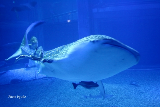 a0121740_16472792.jpg