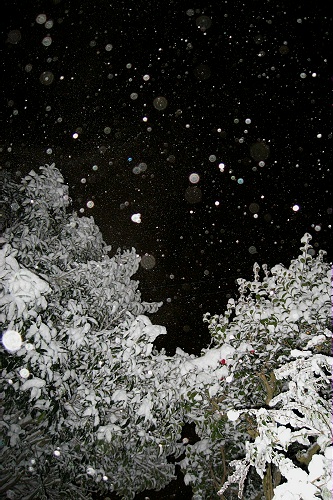 a0243143_193587.jpg