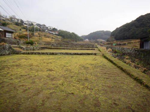 c0179351_10451542.jpg