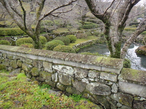 c0179351_11173070.jpg