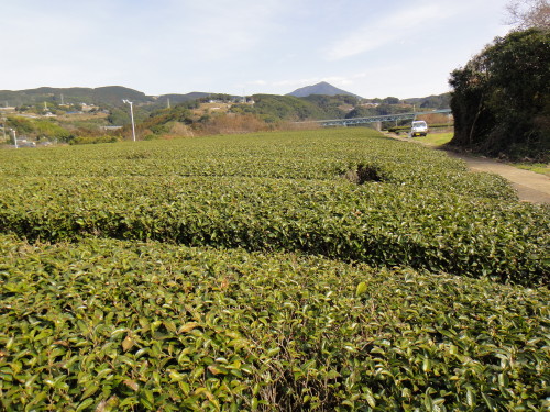 c0179351_2030416.jpg
