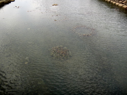 c0179351_20401393.jpg