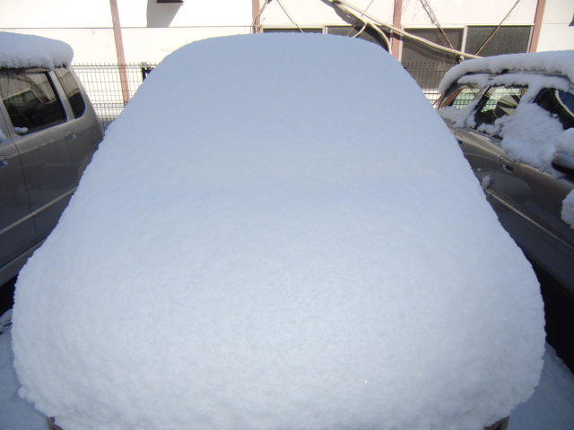 f0054262_11413744.jpg