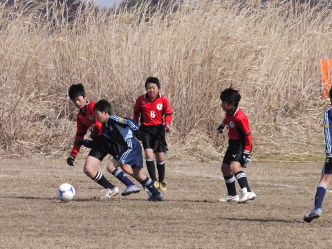 c0185364_20502590.jpg