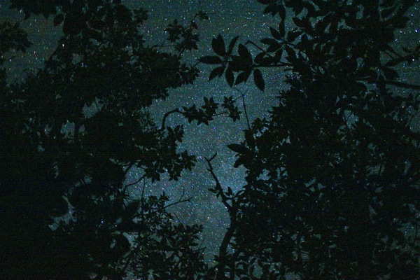 a0246566_15234784.jpg