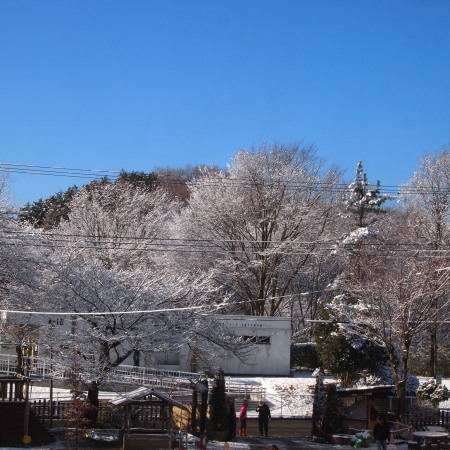 c0122670_2234717.jpg