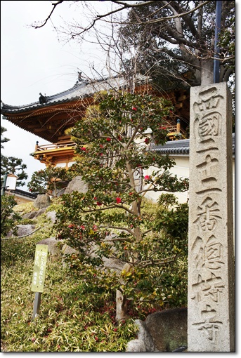 e0177271_21523382.jpg