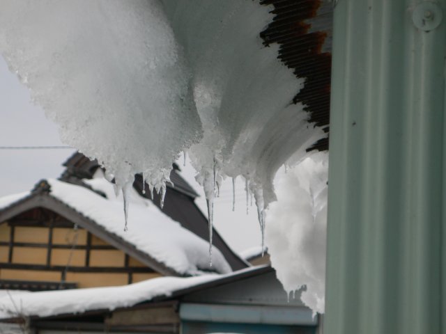 b0042882_14474986.jpg