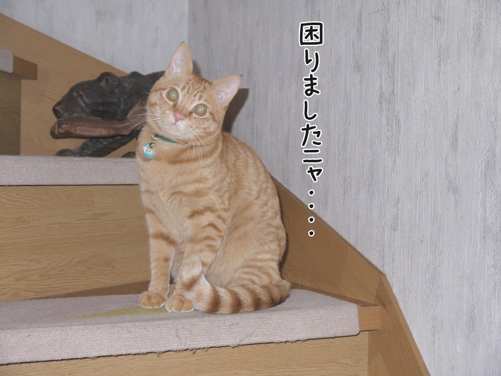 a0216583_11363342.jpg
