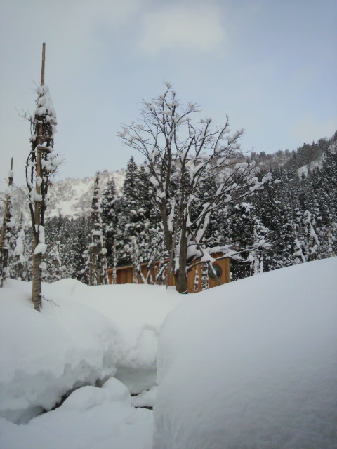 c0198685_1537231.jpg