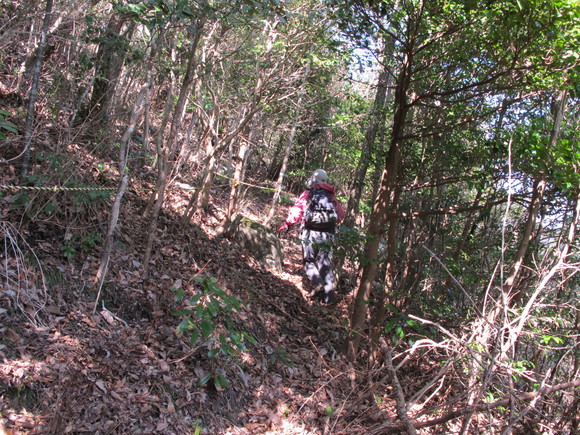 a0166196_21473436.jpg