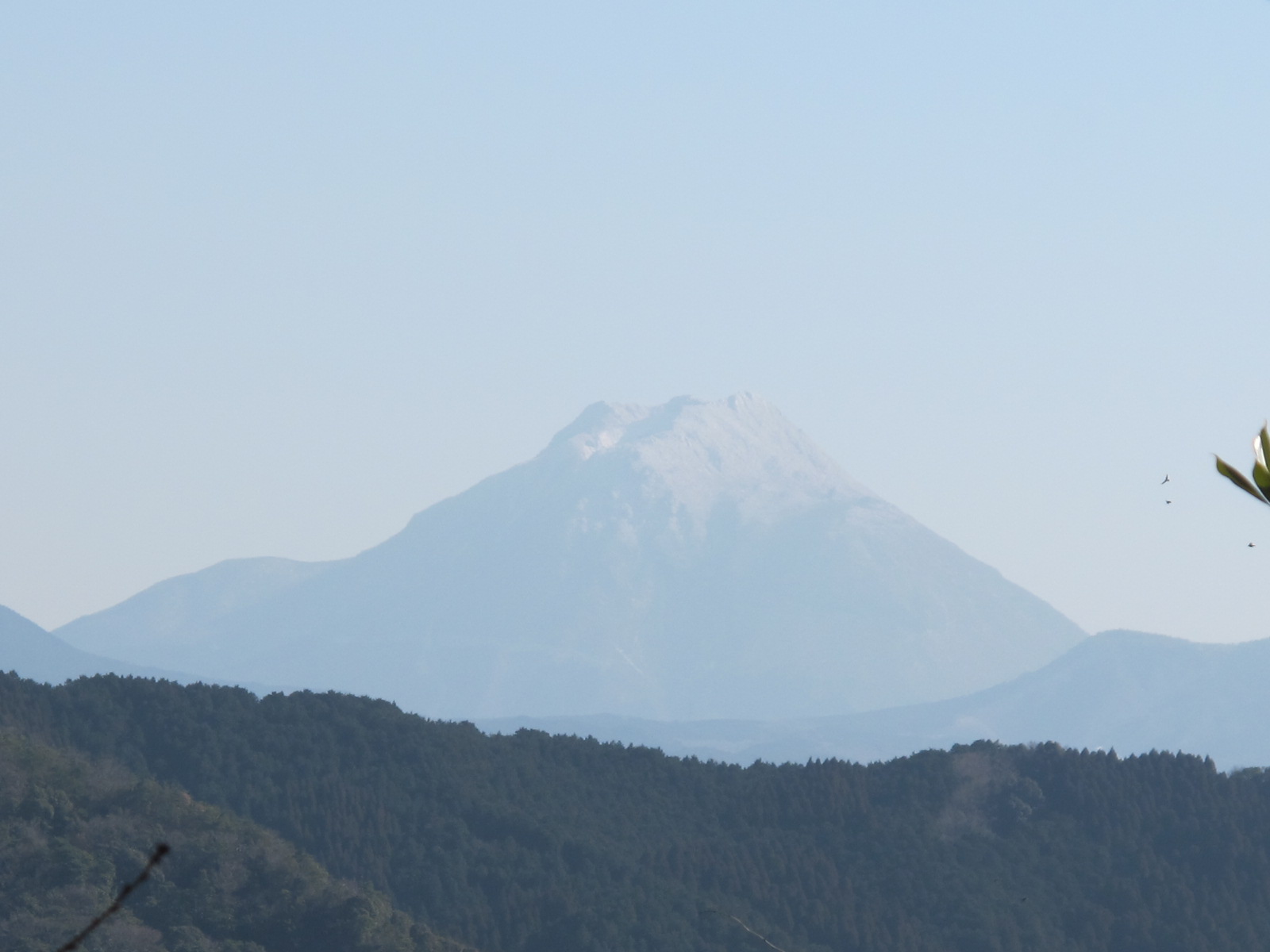 a0166196_21514627.jpg