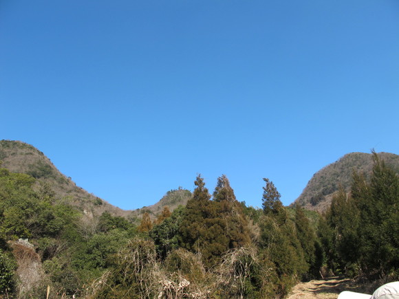 a0166196_2151694.jpg