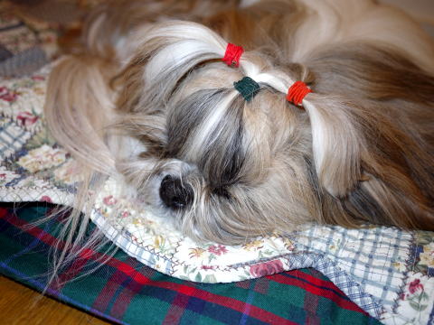 c0090198_4321965.jpg