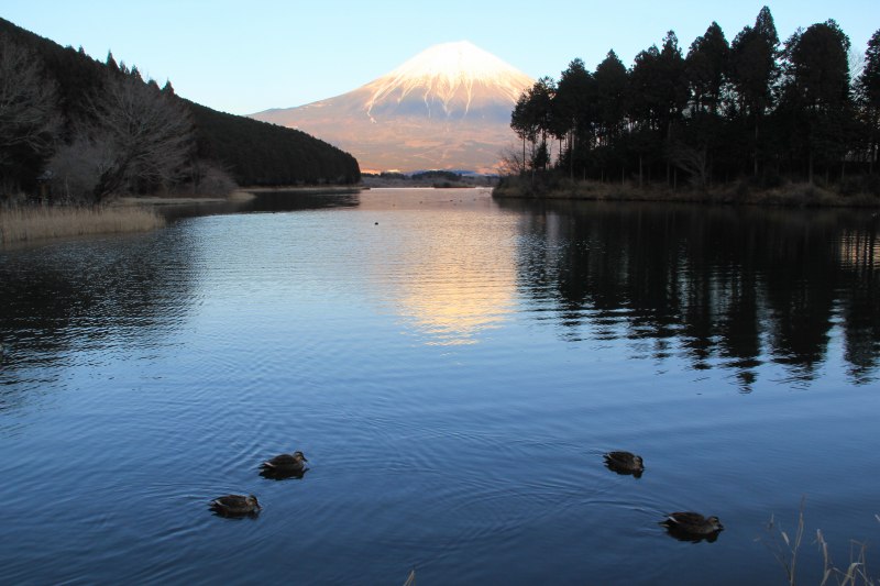 a0188405_2121166.jpg