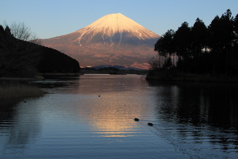 a0188405_2121234.jpg