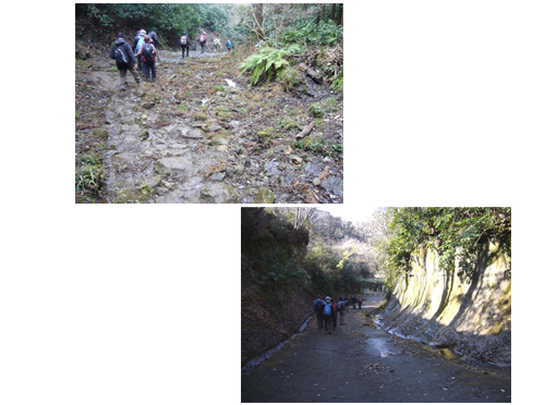 c0051105_029191.png