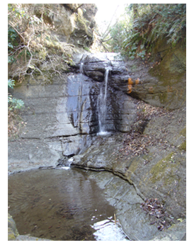 c0051105_0374060.png