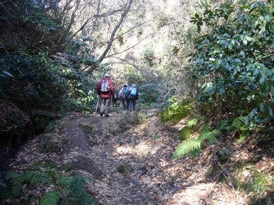c0051105_10568.png