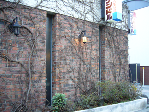 c0051105_1302485.png