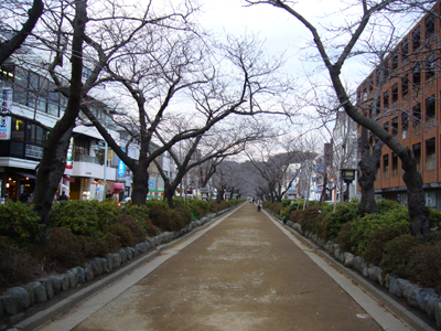 c0051105_133546.png
