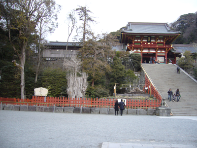 c0051105_13702.png