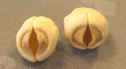b0238306_1593970.jpg