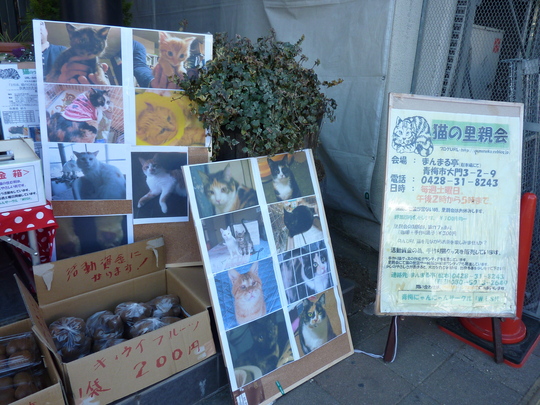 d0171907_20554875.jpg