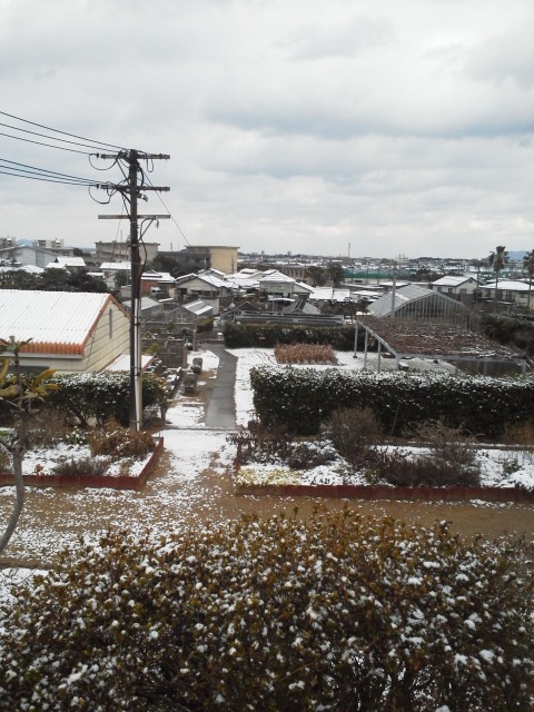 b0052108_1135590.jpg