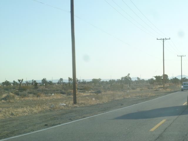 a0144811_9511999.jpg