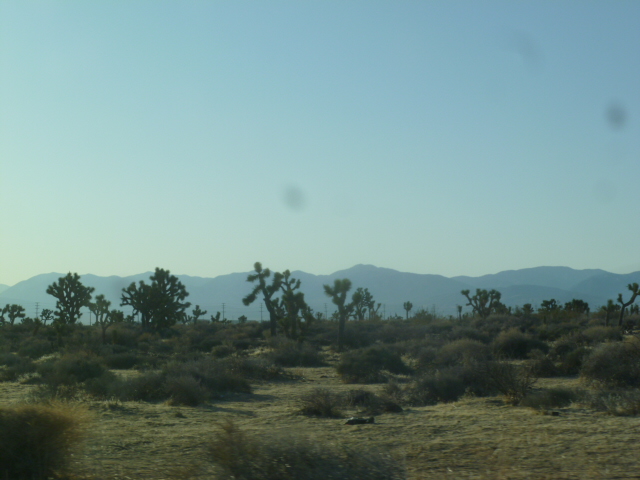 a0144811_9512789.jpg