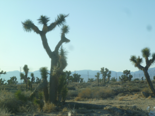 a0144811_9513459.jpg