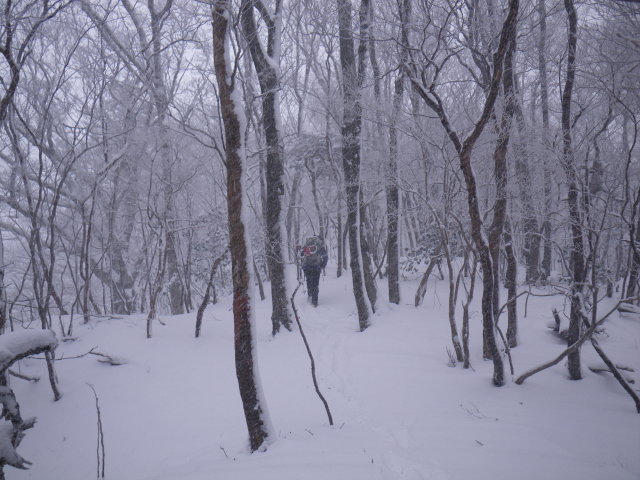 d0006512_2118115.jpg