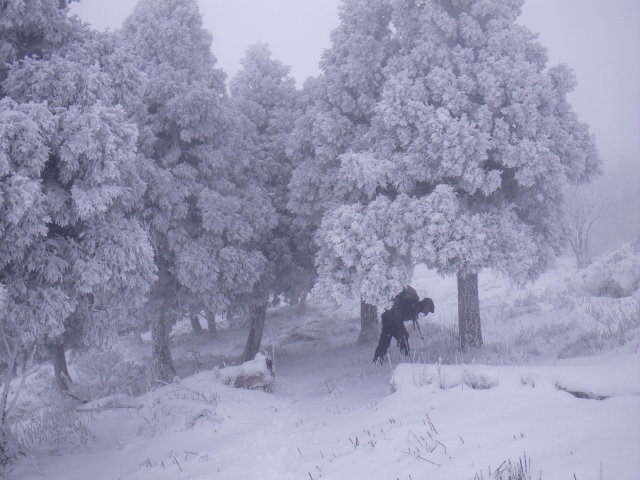 d0006512_21181819.jpg