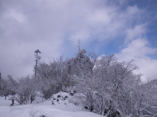 d0006512_21183453.jpg