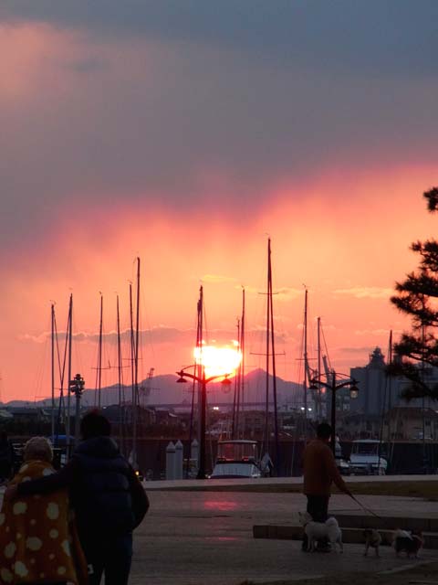 e0083517_2319295.jpg