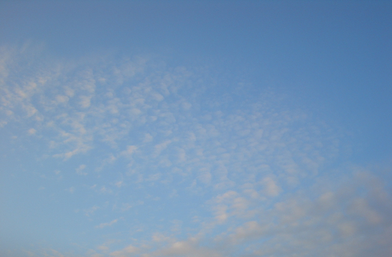 f0197325_13321172.jpg