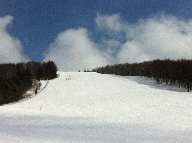 c0117831_14371551.jpg