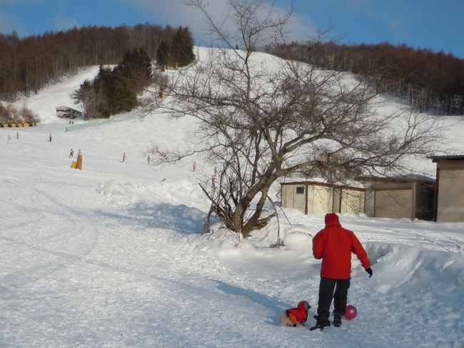 c0117831_1545116.jpg