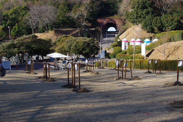 c0216033_1733294.jpg