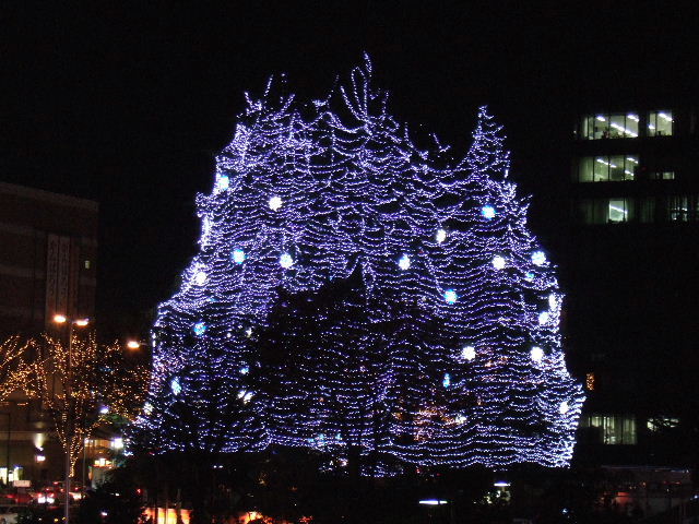 e0064133_0304722.jpg