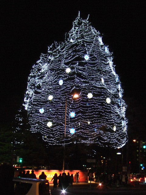 e0064133_033682.jpg