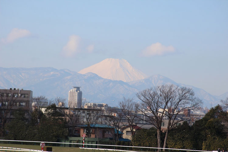 a0009035_15343832.jpg