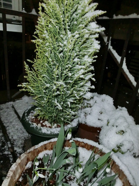 f0237037_1158439.jpg
