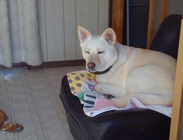 f0195543_17201129.jpg