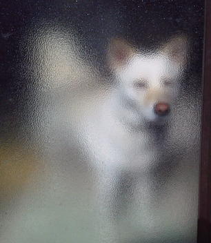 f0195543_182276.jpg