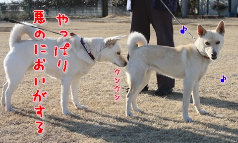 f0195543_23181778.jpg