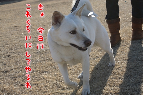 f0195543_23194060.jpg